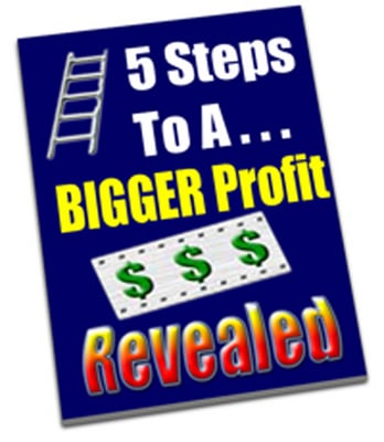 Product picture 5 steps to a bigger profit money revealed